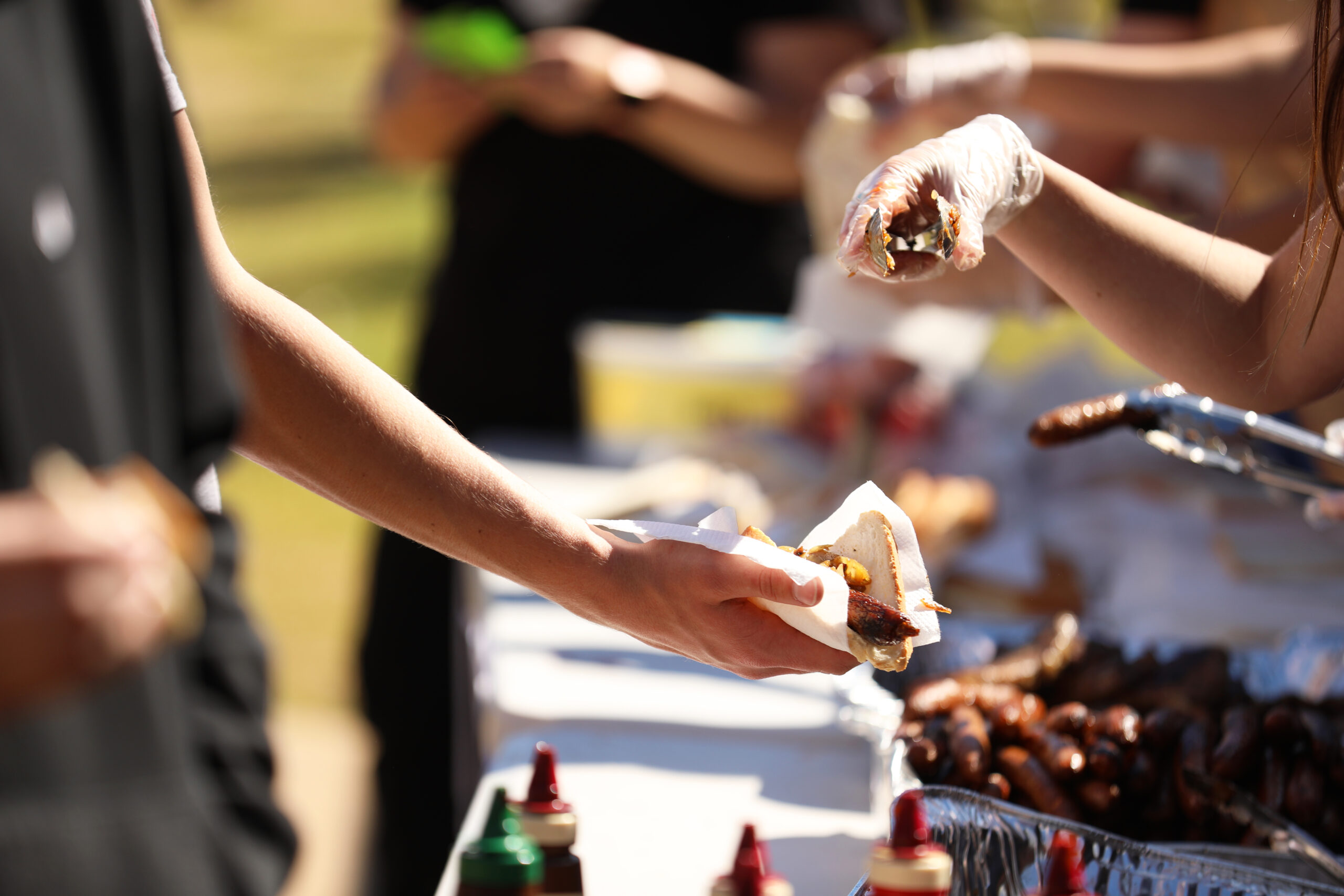 A Carnivores Dream Hoffman Meats