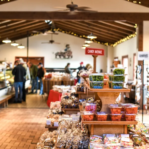 383CFDEA-4DA4-4E59-B406-6E7539C5960E copy